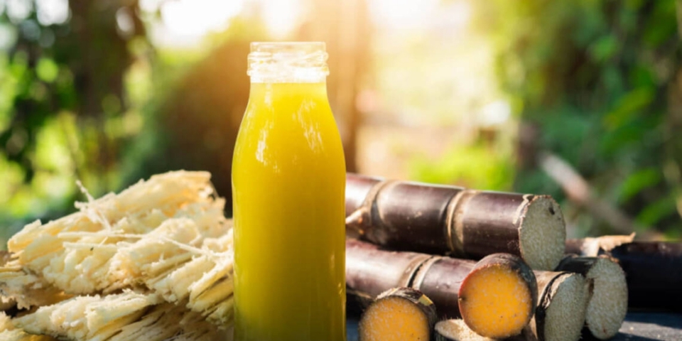 1 loại nước dù ngọt nhưng lại có khả năng kiểm soát đường huyết, dưỡng thận, chống ung thư hiệu quả - Ảnh 2. 1 loại nước dù ngọt nhưng lại có khả năng kiểm soát đường huyết, dưỡng thận, chống ung thư hiệu quả - Ảnh 2.