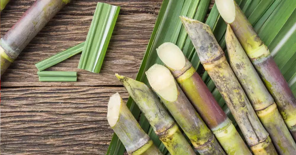 1 loại nước dù ngọt nhưng lại có khả năng kiểm soát đường huyết, dưỡng thận, chống ung thư hiệu quả - Ảnh 1. 1 loại nước dù ngọt nhưng lại có khả năng kiểm soát đường huyết, dưỡng thận, chống ung thư hiệu quả - Ảnh 1.