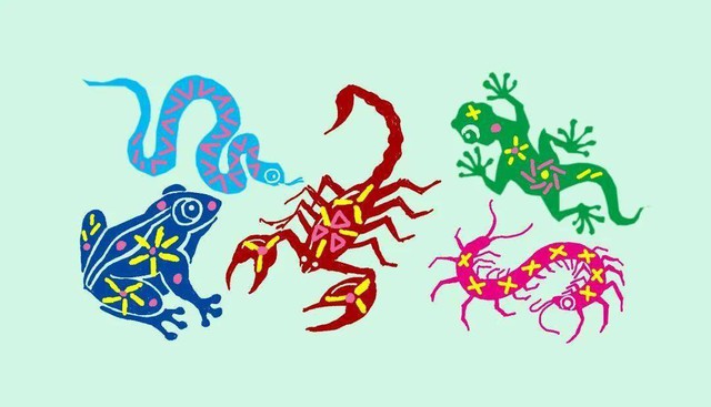 Tại sao rết, một trong "ngũ độc" của Trung Quốc, không giết nổi gà trống? - Ảnh 1. Tại sao rết, một trong "ngũ độc" của Trung Quốc, không giết nổi gà trống? - Ảnh 1.