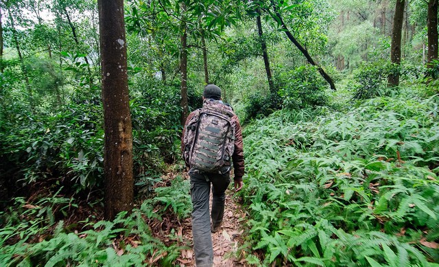 Chinh phục nơi được mệnh danh là &quot;nóc nhà Thủ đô&quot;: Cách trung tâm chỉ 40km, thì ra là cái tên quen thuộc - Ảnh 4.