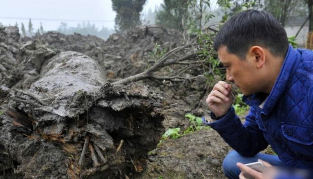 Bới phế thải công trường, phát hiện "khối đá xù xì" nặng gần 10kg đem về làm vật chèn cửa: Chuyên gia đi qua nhìn thấy, lập tức đòi mang đi bằng được - Ảnh 1.