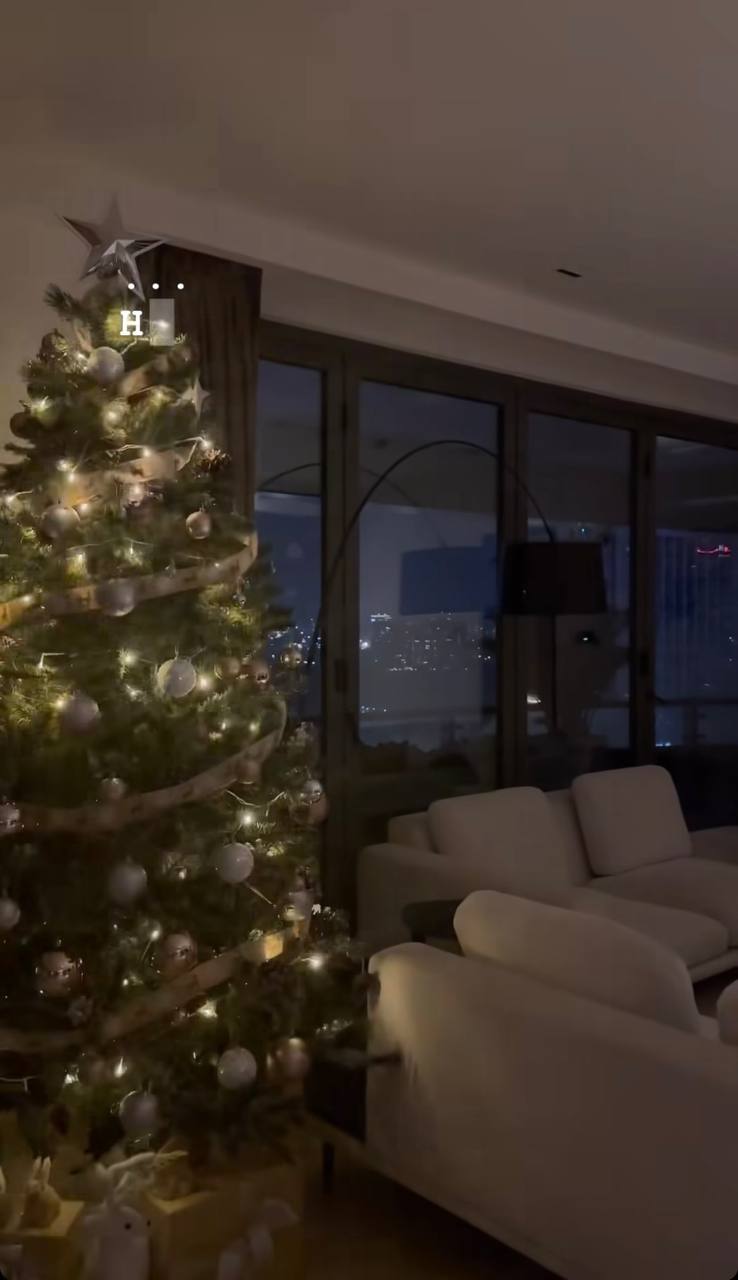 Đường đua decor Noel tăng nhiệt: Lộ diện cây thông độc lạ "thị phi" nhất, style đơn giản bất ngờ thu hút triệu người- Ảnh 26.