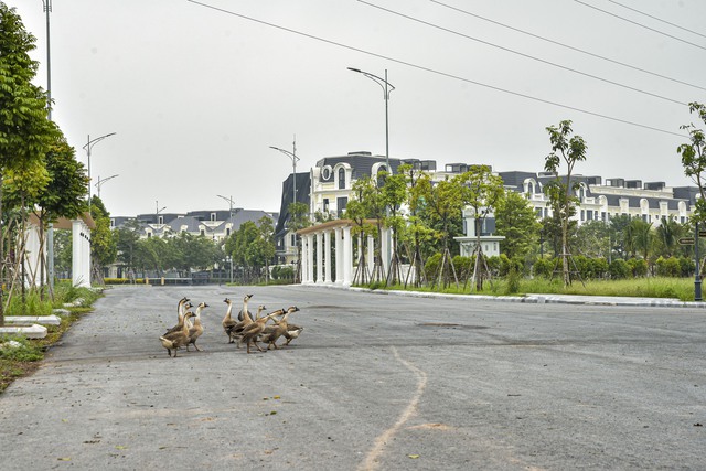 Hà Nội: Đoạn đường gần 6km được phủ dày đặc biệt thự triệu đô - Ảnh 5.