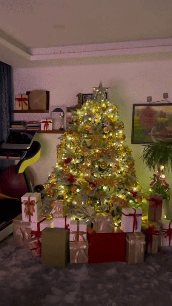 Noel cận kề, đường đua decor Xmas nhộn nhịp hơn: Biệt thự của Lệ Quyên lung linh lóa mắt, Tóc Tiên, Min... khoe cây thông siêu sang - Ảnh 5. Noel cận kề, đường đua decor Xmas nhộn nhịp hơn: Biệt thự của Lệ Quyên lung linh lóa mắt, Tóc Tiên, Min... khoe cây thông siêu sang - Ảnh 5.