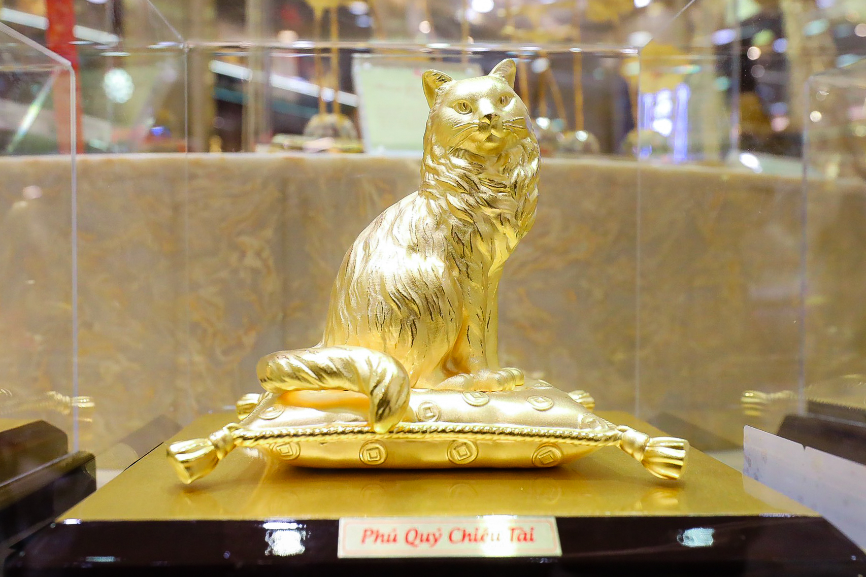 Cận cảnh tượng mèo bằng vàng 9999 khổng lồ nặng 48 kg - Ảnh 9.