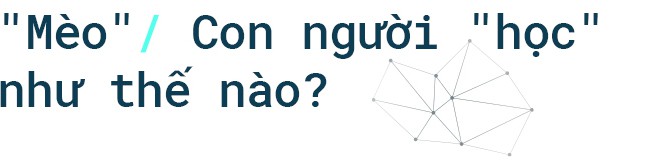 Một cách nhìn đơn giản, một cách hiểu phổ thông hơn về AI, máy học và mạng neuron - Ảnh 11.