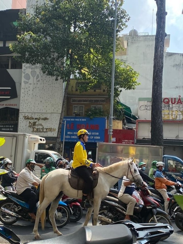 Tài xế công nghệ cưỡi ngựa trắng đi khắp trung tâm TP.HCM bị xử phạt như thế nào? - Ảnh 1.