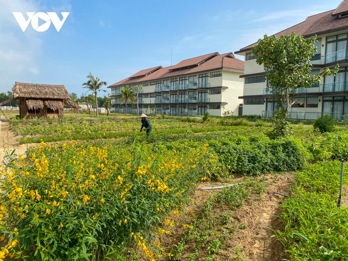 Đến resort trải nghiệm trồng rau, nuôi gà - Ảnh 4.