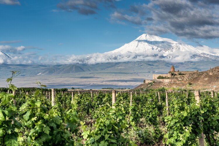 ararat+overlooking+vyds