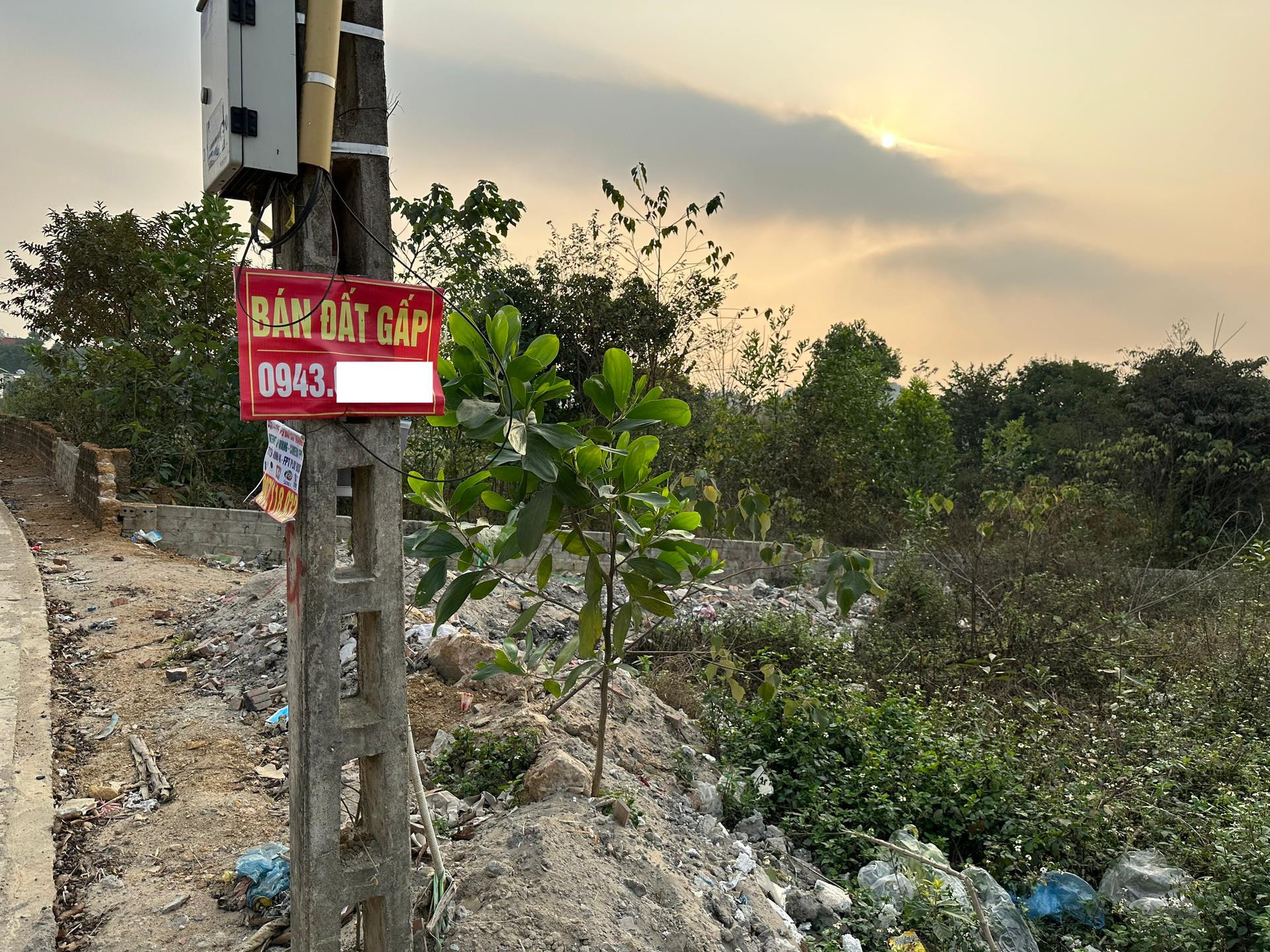 Sau cơn sốt, đất nền phân lô thành nơi tập kết rác, trồng chuối, thả gà - Ảnh 2.