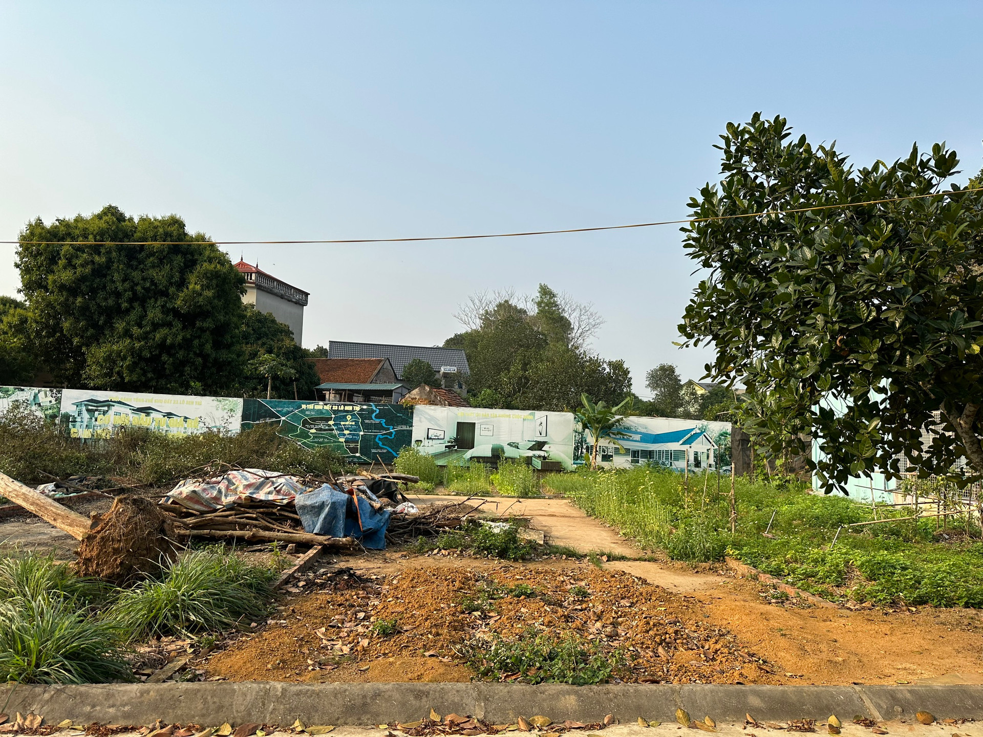 Sau cơn sốt, đất nền phân lô thành nơi tập kết rác, trồng chuối, thả gà - Ảnh 6.