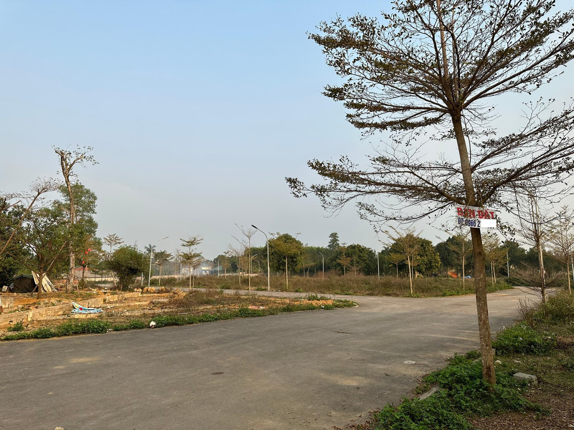 Sau cơn sốt, đất nền phân lô thành nơi tập kết rác, trồng chuối, thả gà - Ảnh 3.