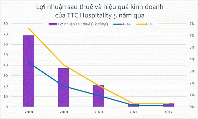 Bất ngờ việc kinh doanh của công ty nhà đại gia sở hữu chuỗi khách sạn 'khủng' - Ảnh 2.