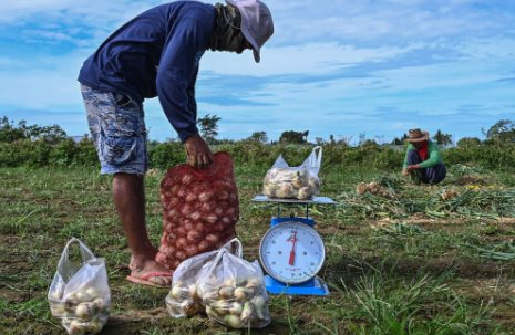 Loại củ có giá rẻ bán tràn lan tại chợ Việt lại đang gặp khủng hoảng trên toàn thế giới, giá tăng đến gần 800%, đắt hơn thịt do nguồn cung quá khan hiếm - Ảnh 1.