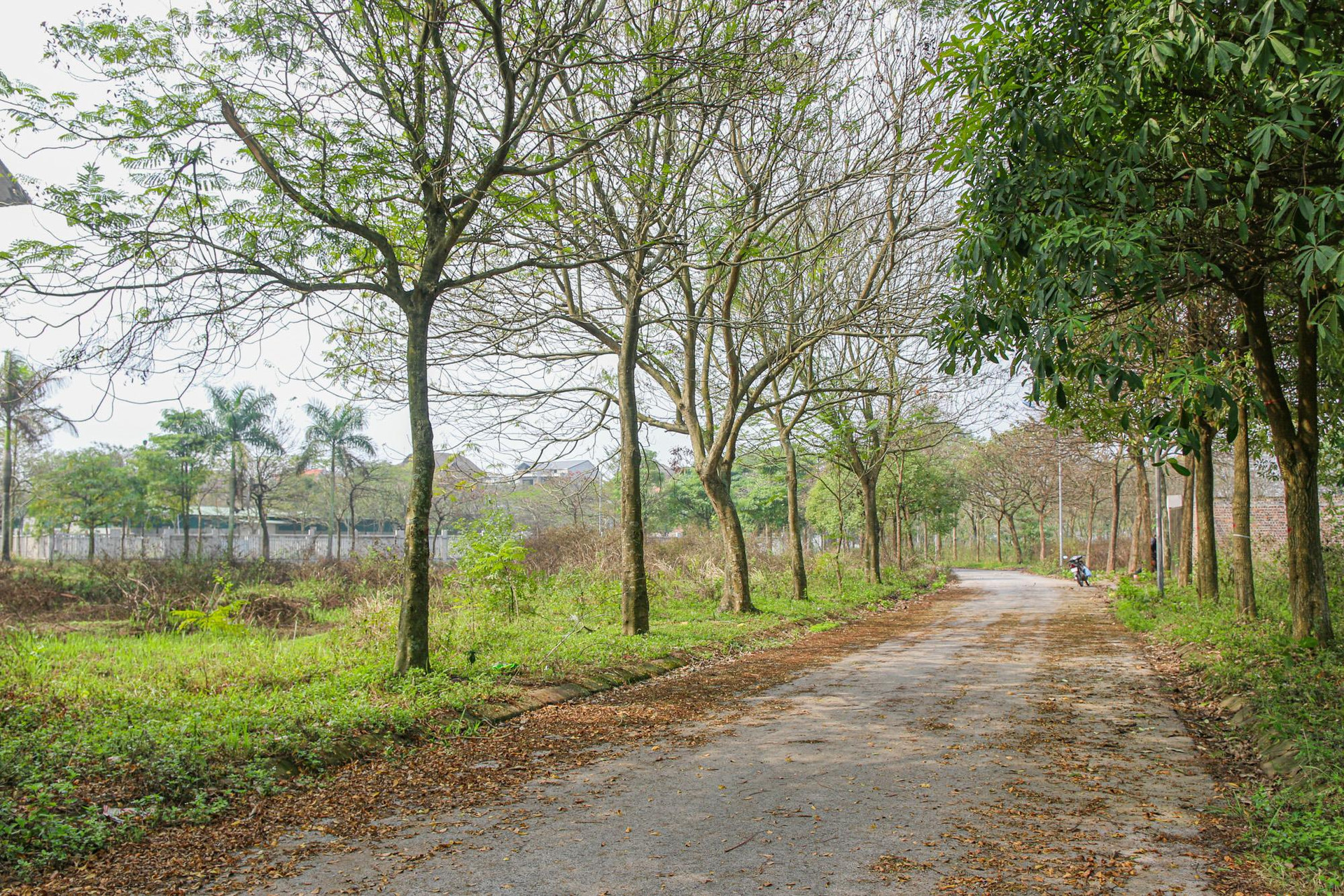 [Photo Essay] Sắp lên thành phố phía Bắc Hà Nội, &quot;làng biệt thự&quot; Mê Linh - nơi chôn vùi hàng nghìn tỷ đồng của nhà đầu tư hiện nay ra sao? - Ảnh 5.