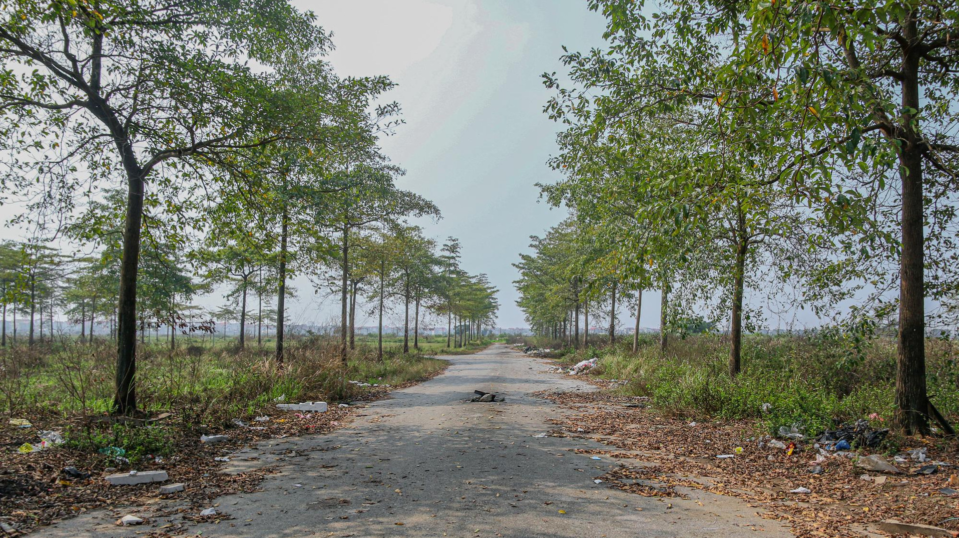 [Photo Essay] Sắp lên thành phố phía Bắc Hà Nội, &quot;làng biệt thự&quot; Mê Linh - nơi chôn vùi hàng nghìn tỷ đồng của nhà đầu tư hiện nay ra sao? - Ảnh 9.