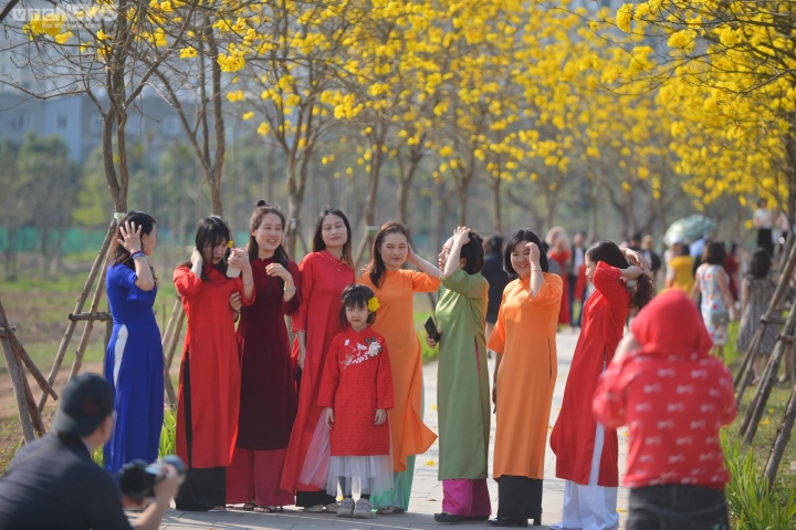 Hà Nội mùa hoa sưa, hoa ban, hoa phong linh: Thợ ảnh kiếm trăm triệu/tháng - Ảnh 5. Hà Nội mùa hoa sưa, hoa ban, hoa phong linh: Thợ ảnh kiếm trăm triệu/tháng - Ảnh 5.