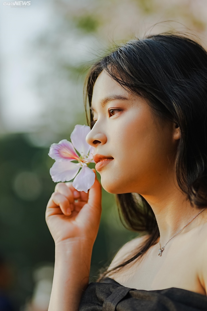 Hà Nội mùa hoa sưa, hoa ban, hoa phong linh: Thợ ảnh kiếm trăm triệu/tháng - Ảnh 6. Hà Nội mùa hoa sưa, hoa ban, hoa phong linh: Thợ ảnh kiếm trăm triệu/tháng - Ảnh 6.