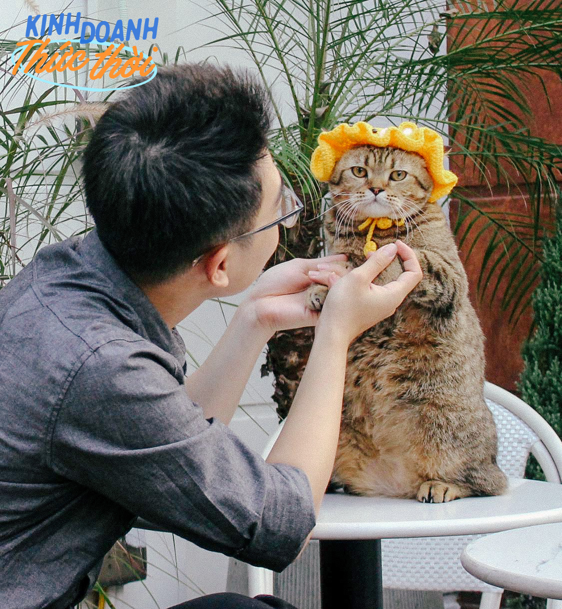 Những chú mèo Việt Nam thành “nghệ sĩ không chuyên”, mỗi ngày đi làm một phút mà giúp chủ kiếm bộn tiền - Ảnh 5.