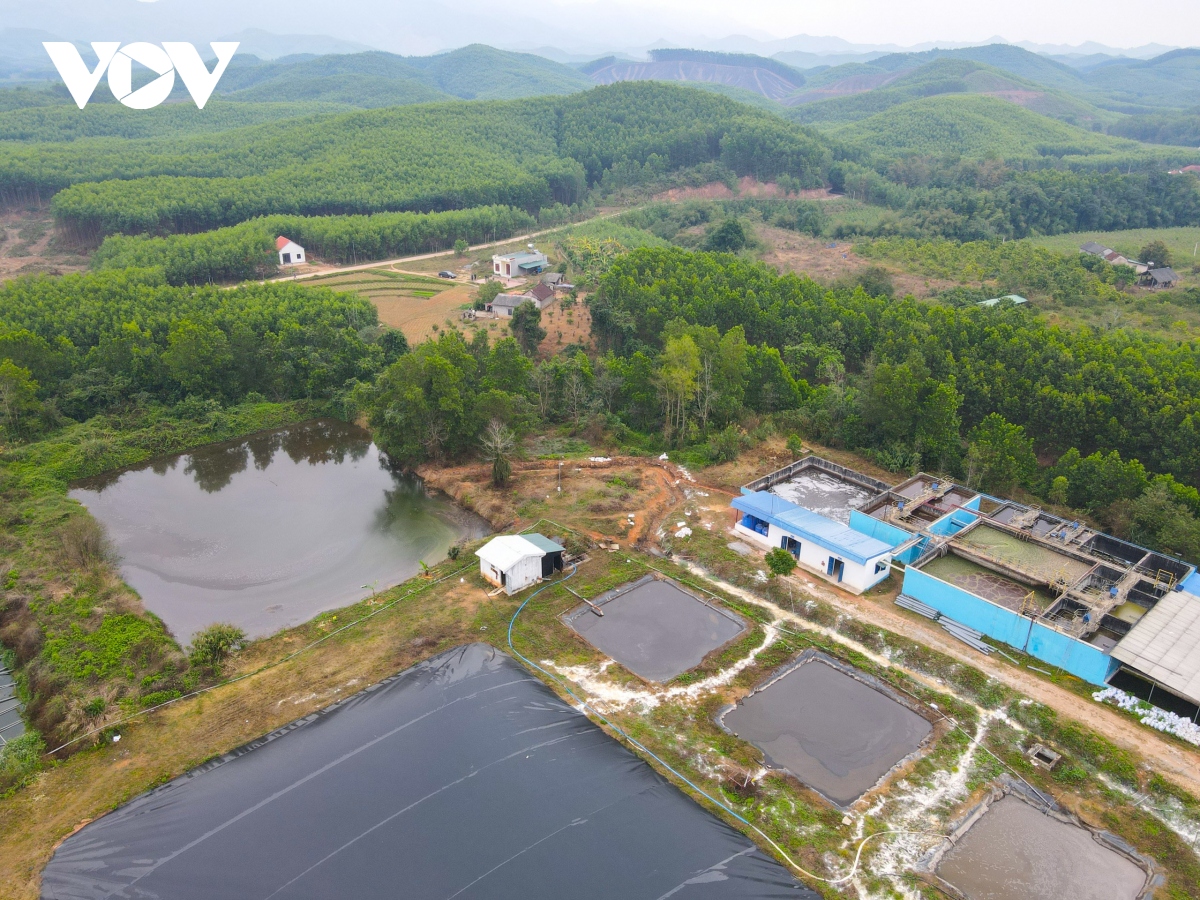 Cận cảnh Dự án chăn nuôi ở Sơn Động để vỡ đường ống nước thải gây ô nhiễm môi trường - Ảnh 6.