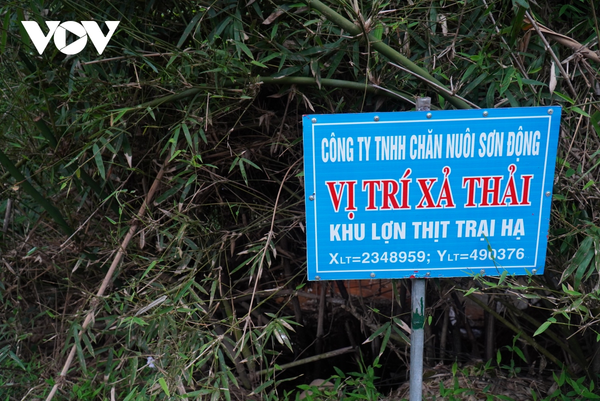 Cận cảnh Dự án chăn nuôi ở Sơn Động để vỡ đường ống nước thải gây ô nhiễm môi trường - Ảnh 2.