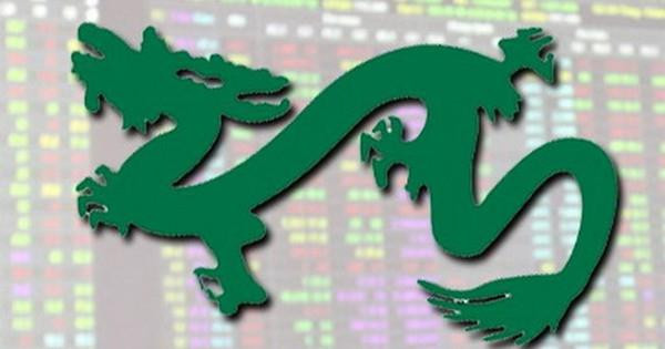 Quỹ lớn nhất do Dragon Capital quản lý nâng tỷ trọng cổ phiếu lên cao nhất trong 7 tháng - Ảnh 1.