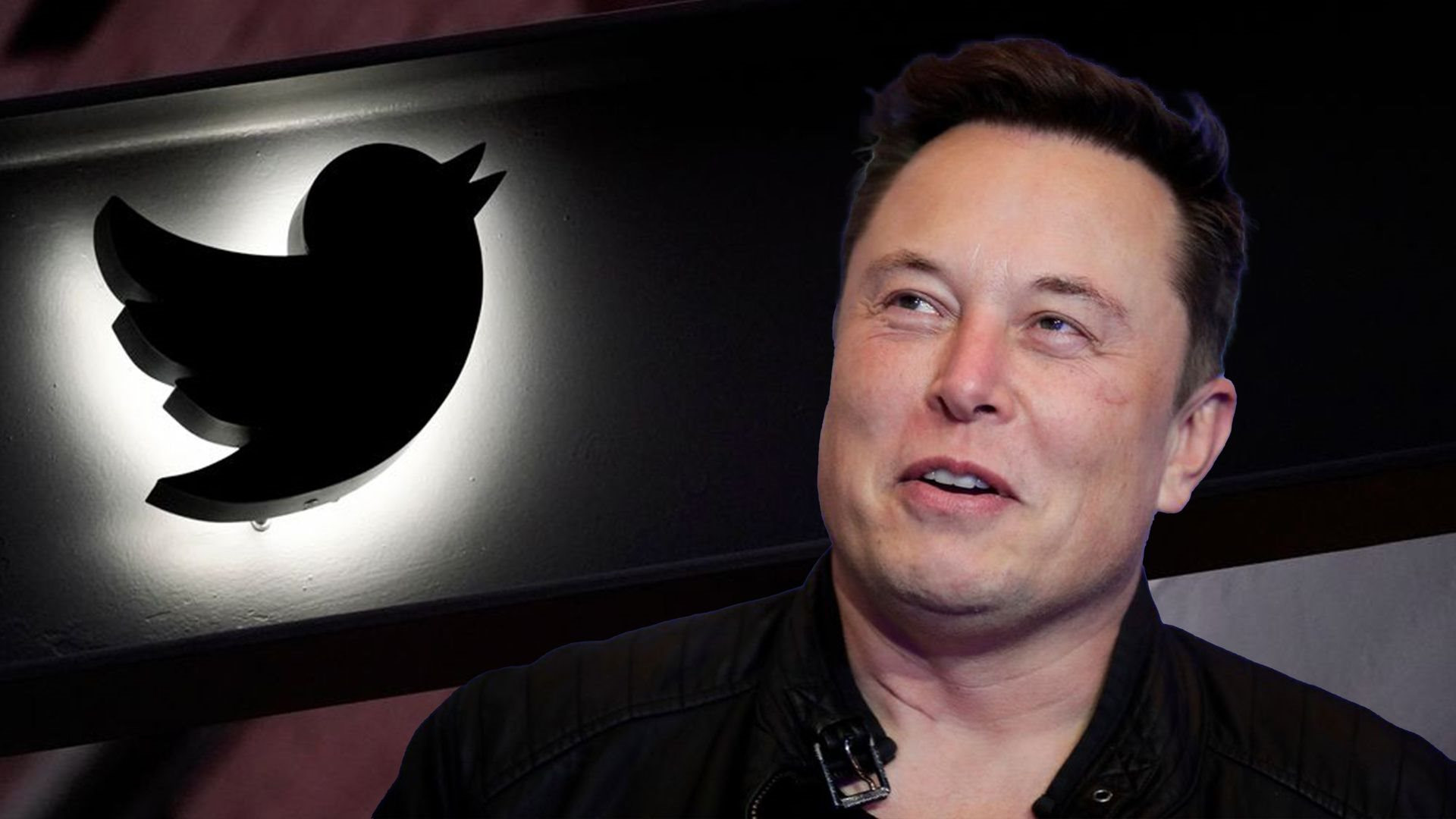 Biến văn phòng làm việc Twitter thành phòng ngủ cho nhân viên, Elon Musk bị cơ quan thanh tra sờ gáy - Ảnh 3.