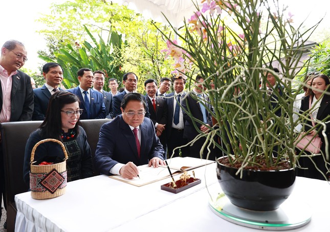 Singapore lấy tên Thủ tướng Phạm Minh Chính và Phu nhân đặt cho loài hoa lan mới - Ảnh 4.