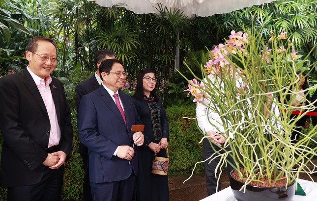 Singapore lấy tên Thủ tướng Phạm Minh Chính và Phu nhân đặt cho loài hoa lan mới - Ảnh 6.