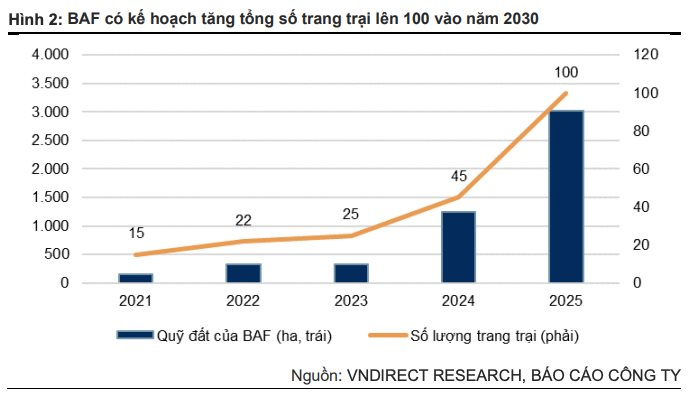 Suýt lỗ trong quý 4/2022, đại gia Trương Sỹ Bá vẫn “chơi lớn” với &quot;Heo ăn chay&quot;: 2023 tăng tổng đàn thêm 65,5%, tăng gấp đôi số cửa hàng Meat Shop - Ảnh 3.