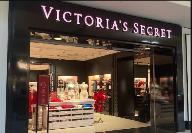 Victoria’s Secret ra mắt chiếc áo ngực đặc biệt, có thể tái chế để giảm thiểu rác thải may mặc - Ảnh 1.
