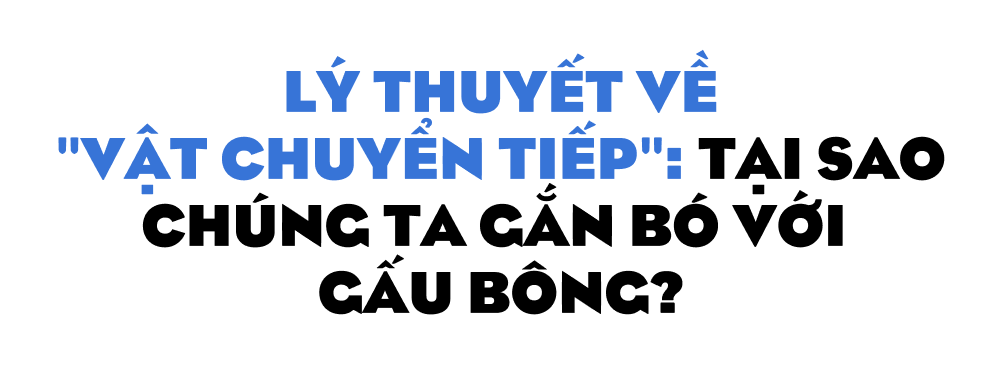 Có ai ở Việt Nam hơn 20 tuổi rồi vẫn còn ngủ với gấu bông không? - Ảnh 4.