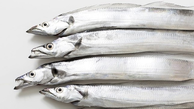 Đi chợ thấy những loại cá này nên mua ngay bởi cá ngọt thịt, ít xương lại giàu dinh dưỡng - Ảnh 1.
