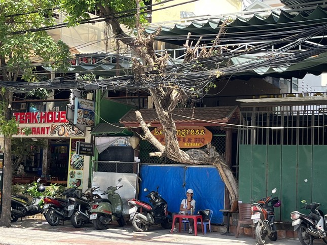 Phố Tây Nha Trang 'cửa đóng, then cài' vì vắng khách Trung Quốc - Ảnh 5.