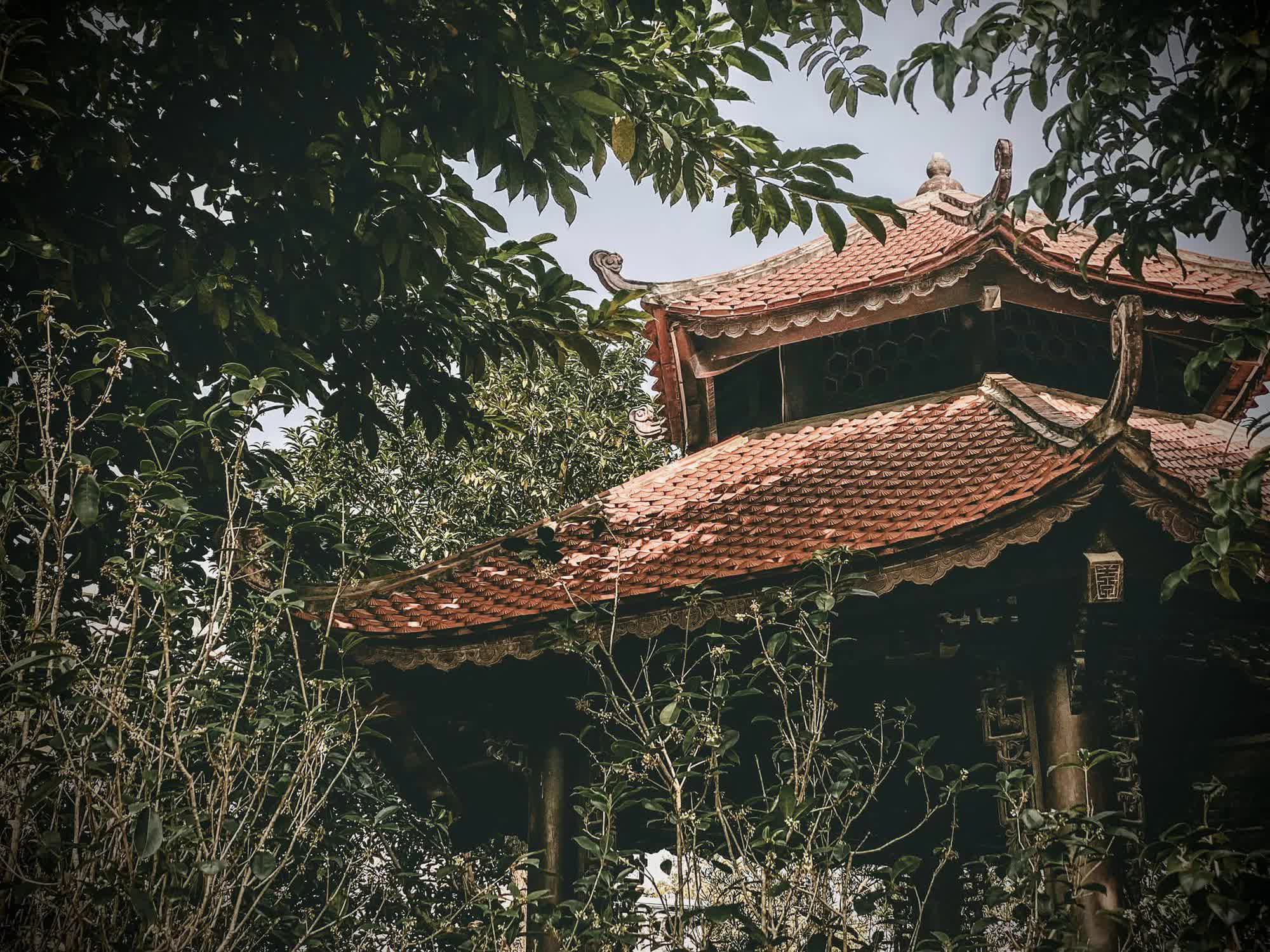 Biệt phủ gỗ lim rộng 1.000m2 ở Nam Định, đi nửa ngày chưa khám phá hết, chủ nhân hé lộ về dòng dõi trâm anh quyền thế - Ảnh 3.