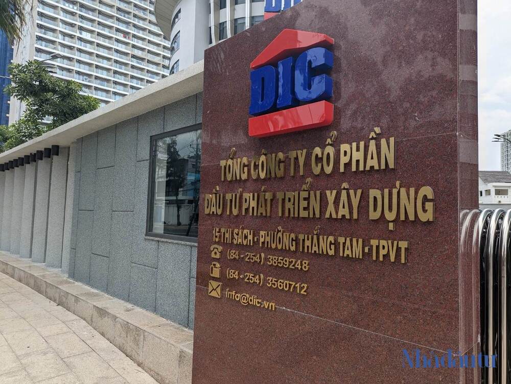 Nhìn lại đường tư nhân hóa DIC Corp - Ảnh 1.