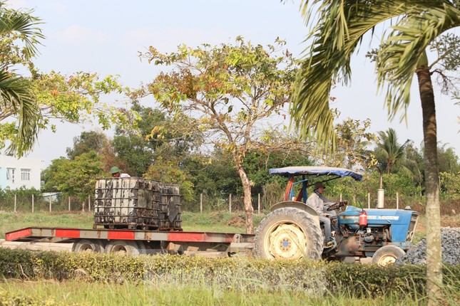 Về nơi làm khu tái định cư cho người dân bị ảnh hưởng bởi dự án Vành đai 3 - Ảnh 12.