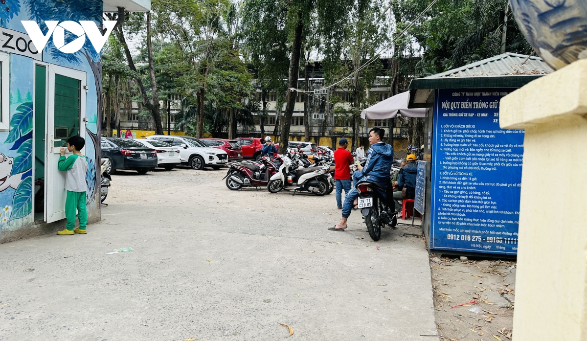 Bãi trông xe tự phát, thu 20.000 đồng một vé xé máy trước Vườn thú Hà Nội - Ảnh 1.
