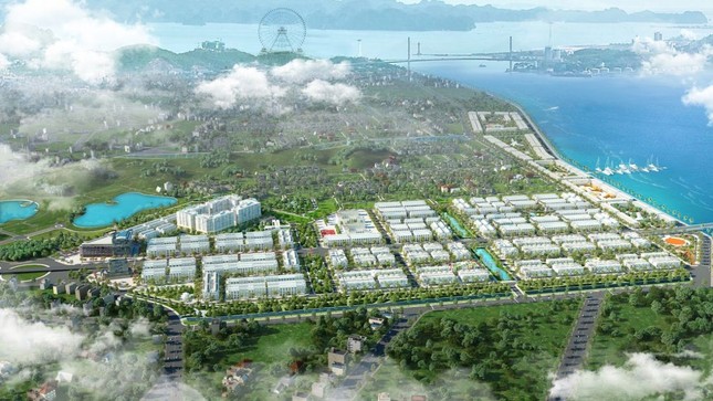 FLC bị đề nghị thu hồi đất dự án khu đô thị tại Quảng Ninh - Ảnh 1.