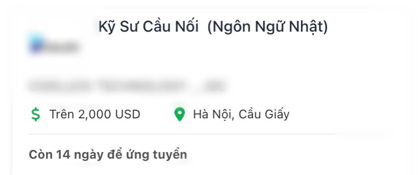 Một thứ tiếng gắn liền với tuổi thơ, cực khó học nhưng thu nhập gần 50 triệu/tháng - Ảnh 3.