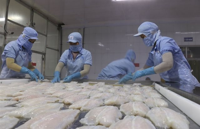 Một loài cá của Việt Nam 'vươn tầm' ở Trung Quốc, chuyên gia kinh ngạc: Điều gì xảy ra với vị thế của Bắc Kinh? - Ảnh 2.