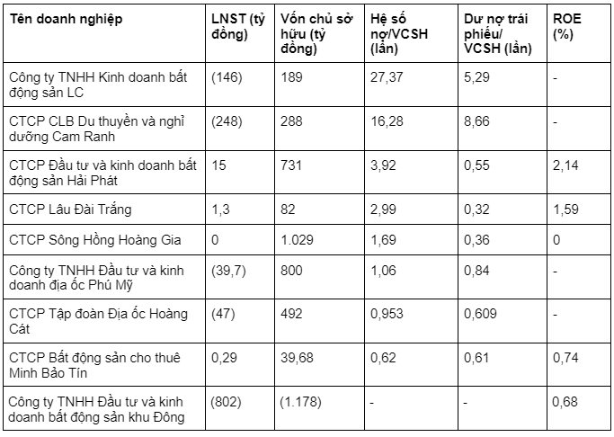 Loạt doanh nghiệp bất động sản chưa niêm yết công bố thông tin tài chính, một công ty có hệ số nợ/vốn chủ sở hữu gấp 27 lần - Ảnh 2.