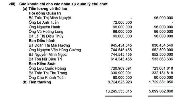 Lãnh đạo doanh nghiệp nghìn tỷ với lợi nhuận tăng 6.755%, &quot;vua hàng hiệu&quot; Johnathan Hạnh Nguyễn nhận thù lao gây sốc - Ảnh 3.