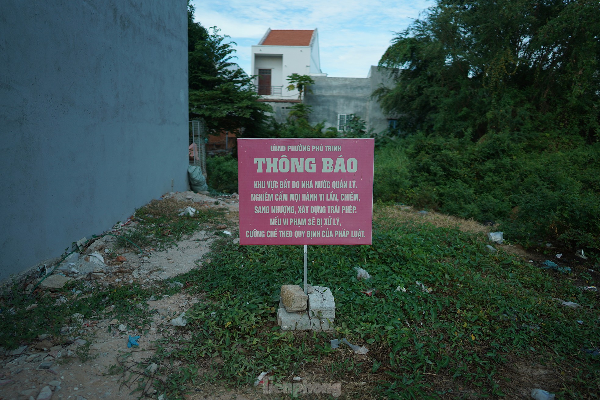 Đại lộ đẹp nhất Bình Thuận bị điều tra vì đền bù sai 45 tỷ đồng - Ảnh 7.