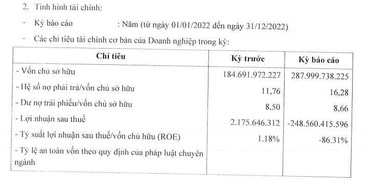 Công ty Nghỉ dưỡng Cam Ranh của &quot;đại gia&quot; Đức cá tầm có nợ phải trả hơn 4.600 tỷ, cao gấp 16 lần vốn chủ sở hữu - Ảnh 2.