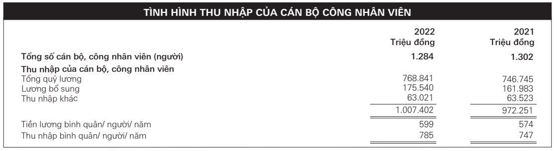 Lợi nhuận trở lại thời “hoàng kim”, một ngân hàng tại Việt Nam tăng thu nhập bình quân nhân viên lên hơn 65 triệu đồng/tháng - Ảnh 3.