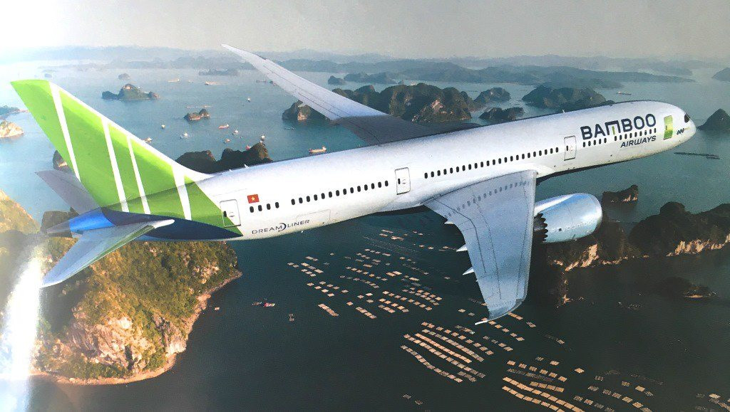 Bamboo Airways lỗ kỷ lục nhưng vẫn nỗ lực thanh toán hơn 500 tỷ tiền thuế - Ảnh 1.