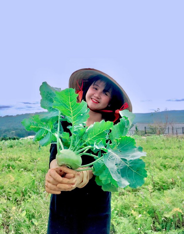 Cô gái bỏ phố lên Đà Lạt chữa lành: Chưa kịp làm gì thì tiêu gần 100 triệu, mượn tiền thuê đất trồng rau duy trì cuộc sống - Ảnh 1.