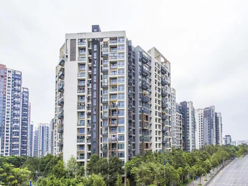 Bán nhà 3 tỷ đồng, vay nóng tín dụng vì  muốn “giàu nhanh từ chứng khoán”: Chưa đầy 2 năm tôi mất trắng, gia đình ly biệt, bố mẹ từ mặt - Ảnh 2.