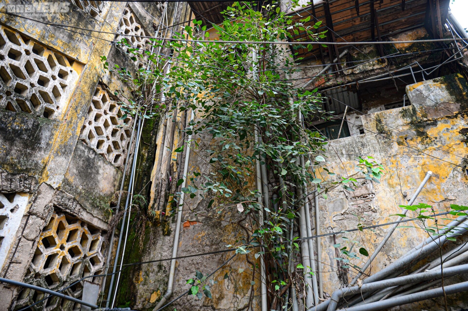 Người Hà Nội bất an sống trong khu tập thể chờ sập, không mưa cũng dột - Ảnh 12.